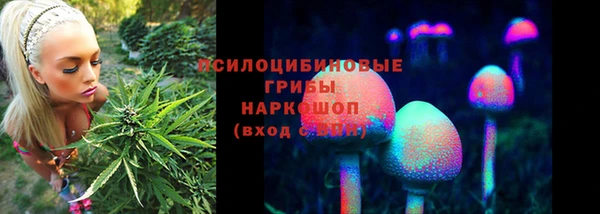 гашик Дмитриев