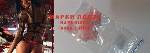 гашик Дмитриев