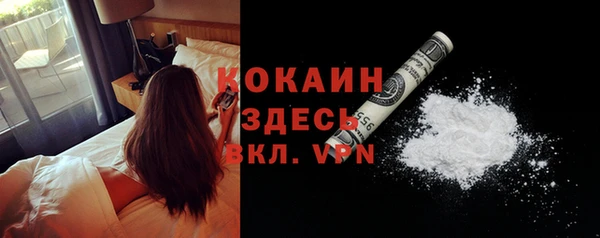 гашик Дмитриев