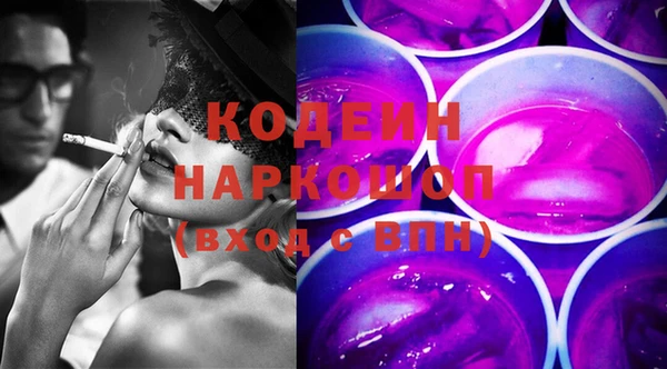 гашик Дмитриев