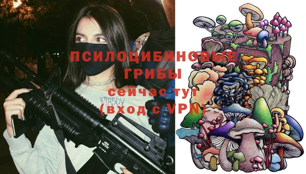 прущие крисы Гусь-Хрустальный