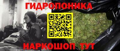 дживик Кандалакша