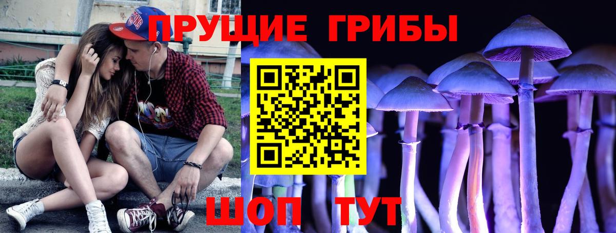 Псилоцибиновые грибы Psilocybine cubensis  Вход с VPN  Обь 