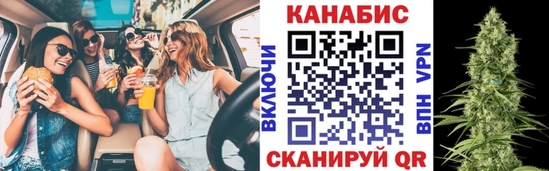 Бошки Шишки Amnesia  закладки  Обь 